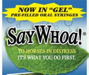 SayWhoa! "GEL" Paste Pre-Filled Syringes